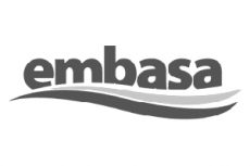 Logo Embasa - Portugal Geradores